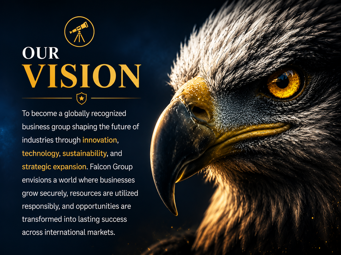 Vision